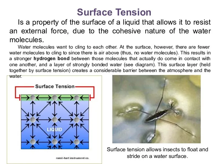 Surface Tension Is a property of the surface of a liquid