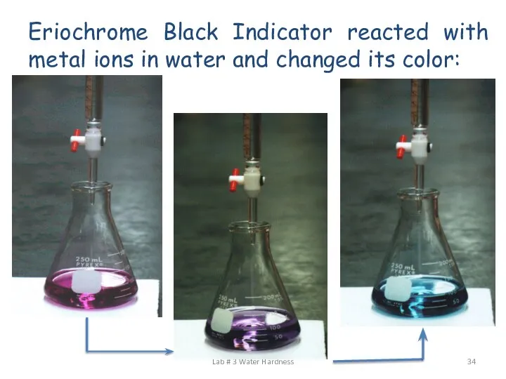 Eriochrome Black Indicator reacted with metal ions in water and changed