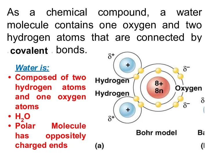 As a chemical compound, a water molecule contains one oxygen and