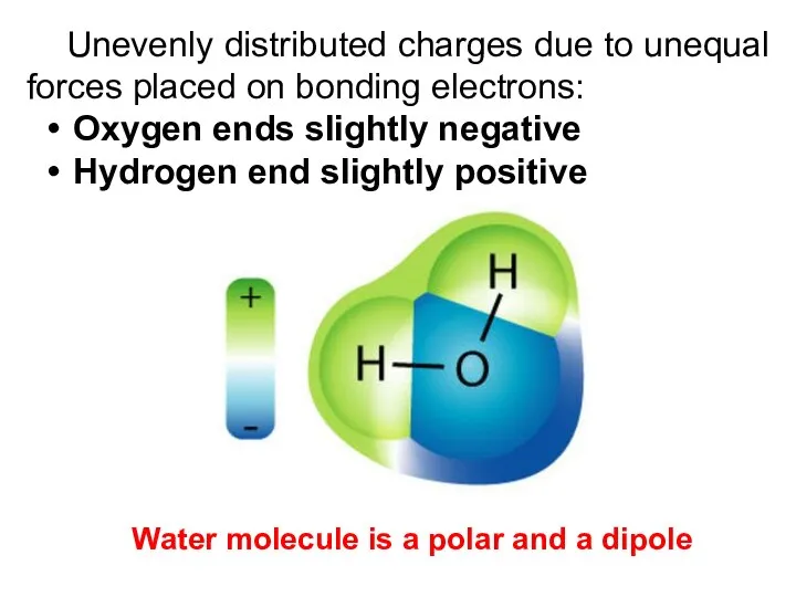 Unevenly distributed charges due to unequal forces placed on bonding electrons: