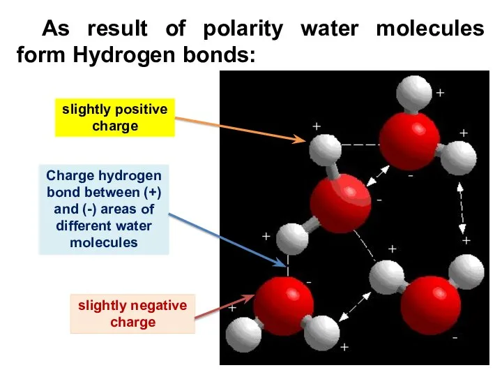 As result of polarity water molecules form Hydrogen bonds: slightly positive