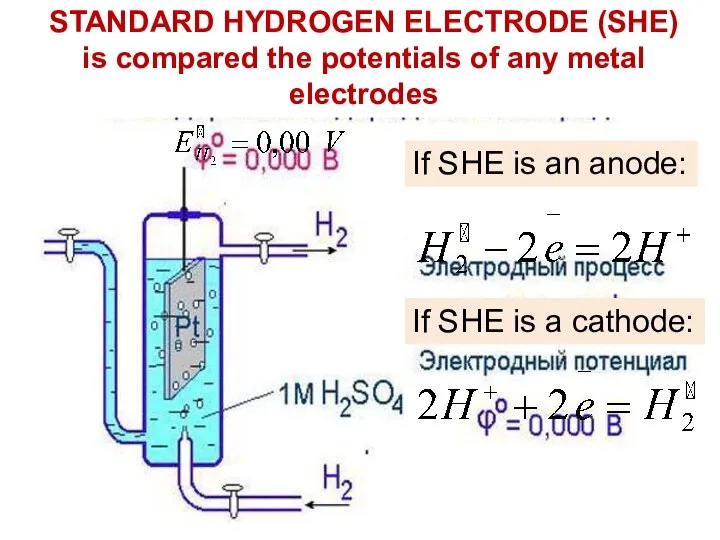 STANDARD HYDROGEN ELECTRODE (SHE) is compared the potentials of any metal