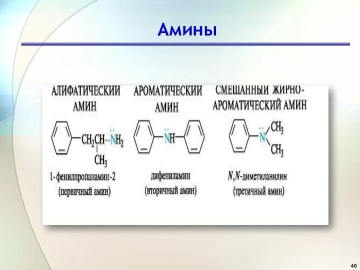 Амины