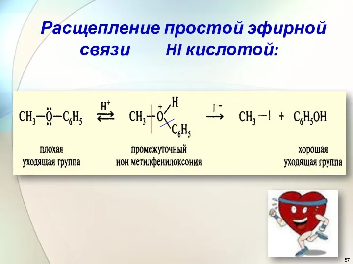 - Расщепление простой эфирной связи HI кислотой: