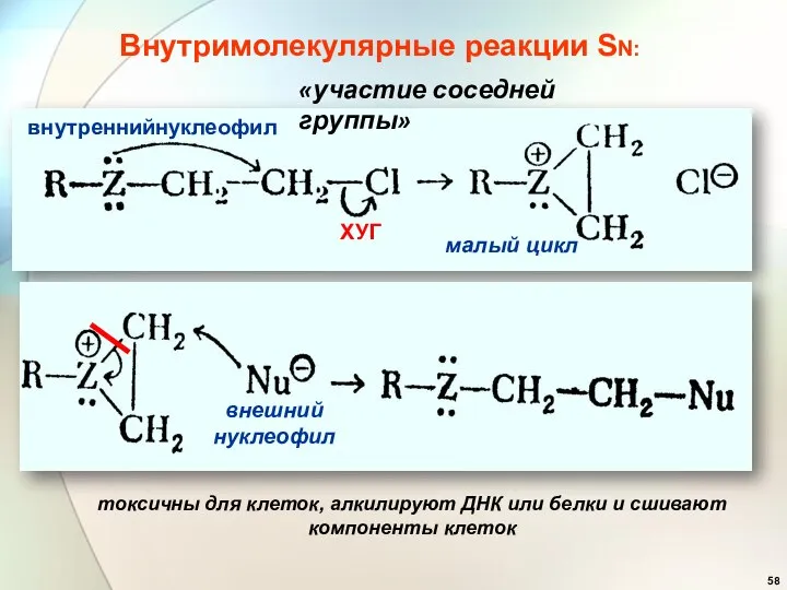 Внутримолекулярные реакции SN: малый цикл нуклеофил внутренний ХУГ внешний нуклеофил «участие