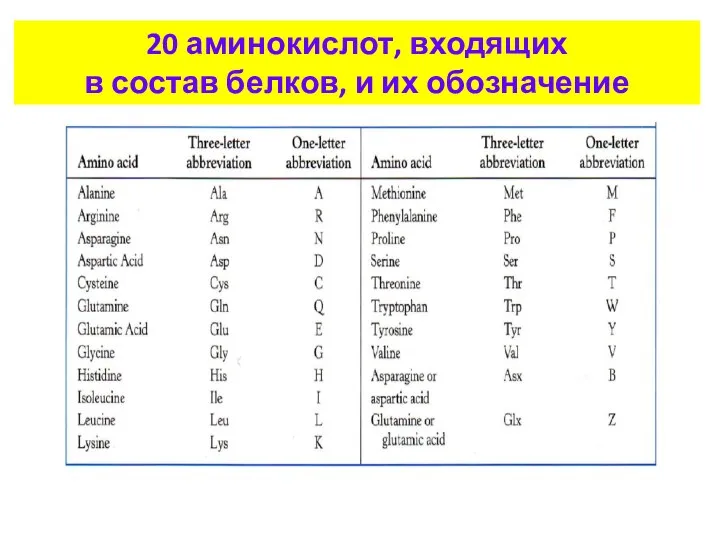 20 аминокислот, входящих в состав белков, и их обозначение