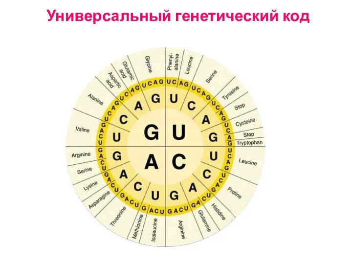 Универсальный генетический код