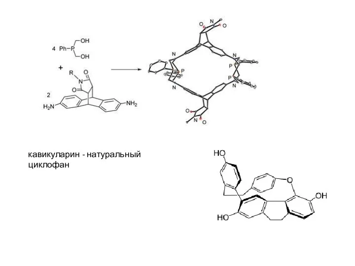 кавикуларин - натуральный циклофан