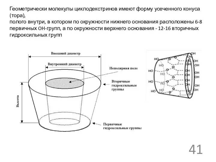 Геометрически молекулы циклодекстринов имеют форму усеченного конуса (тора), полого внутри, в