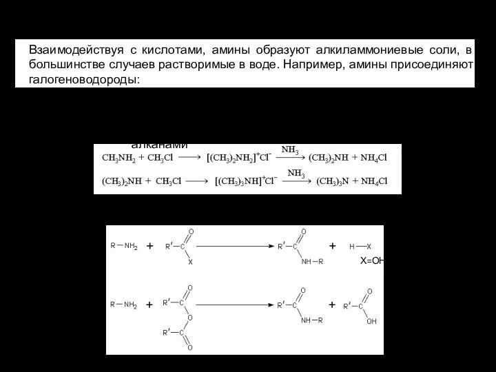 Химические свойства Взаимодействуя с кислотами, амины образуют алкиламмониевые соли, в большинстве