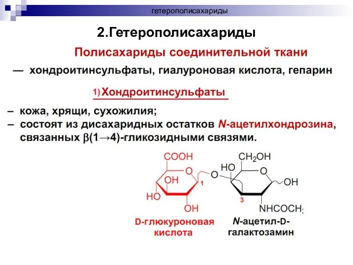 гетерополисахариды 2.Гетерополисахариды