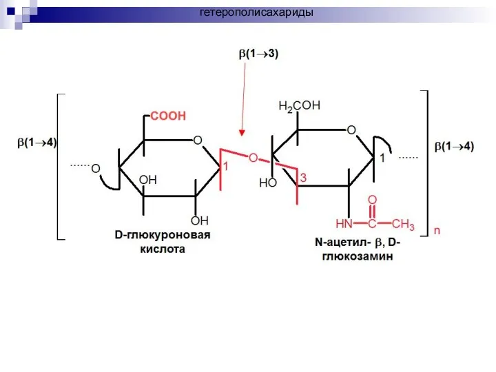 гетерополисахариды