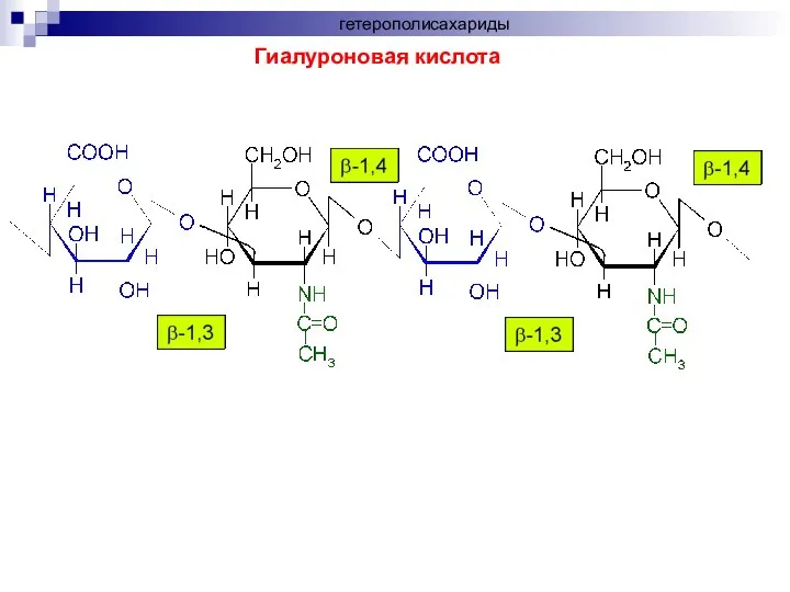 Гиалуроновая кислота гетерополисахариды