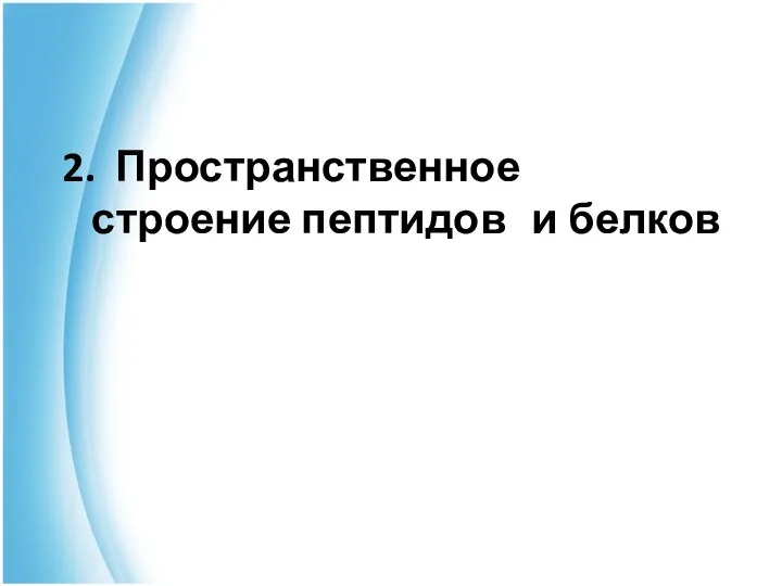 2. Пространственное строение пептидов и белков