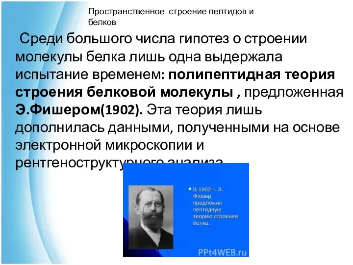 Среди большого числа гипотез о строении молекулы белка лишь одна выдержала