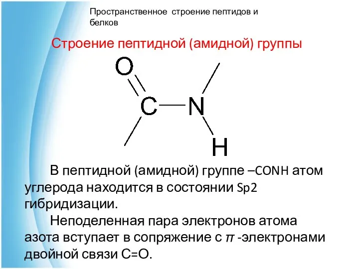 Строение пептидной (амидной) группы Пространственное строение пептидов и белков В пептидной