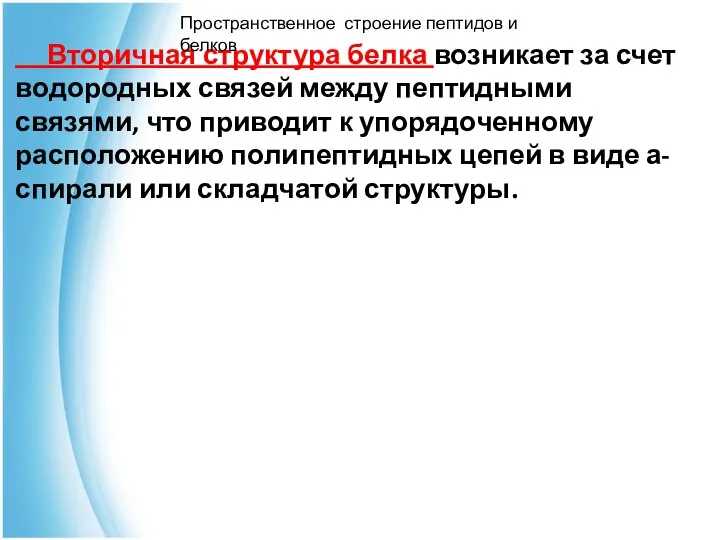 Вторичная структура белка возникает за счет водородных связей между пептидными связями,