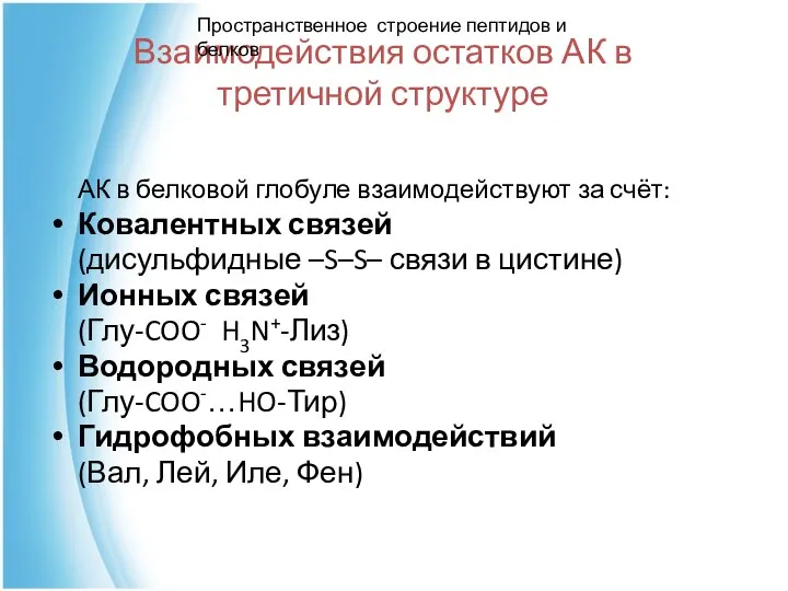 Взаимодействия остатков АК в третичной структуре АК в белковой глобуле взаимодействуют