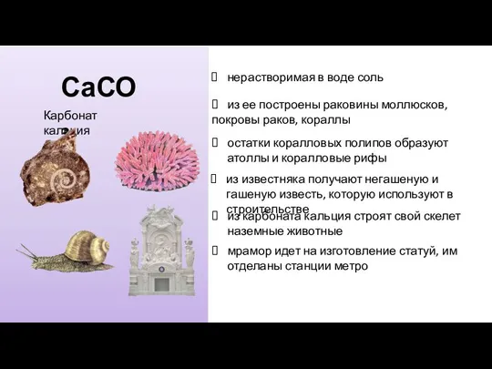 СаСО3 Карбонат кальция нерастворимая в воде соль из ее построены раковины