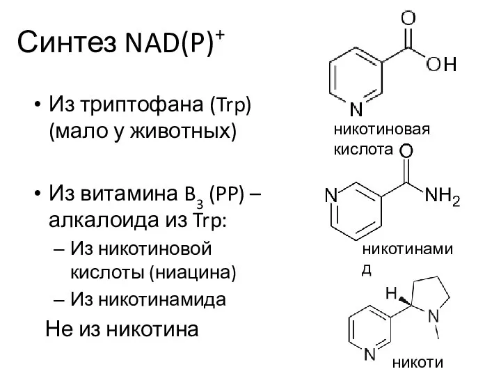 Синтез NAD(P)+ Из триптофана (Trp) (мало у животных) Из витамина B3