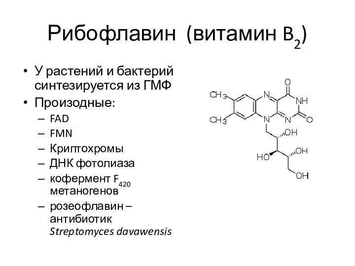 Рибофлавин (витамин B2) У растений и бактерий синтезируется из ГМФ Произодные: