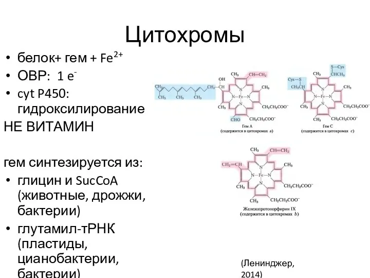 Цитохромы белок+ гем + Fe2+ ОВР: 1 e- cyt P450: гидроксилирование