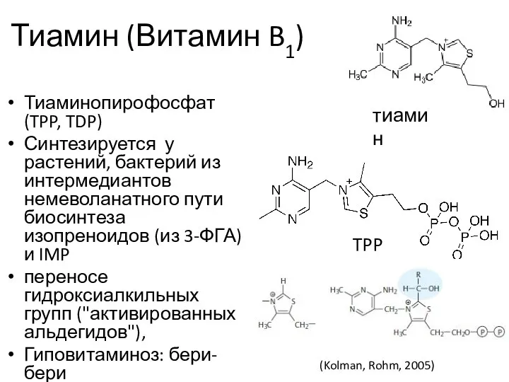 Тиамин (Витамин B1) Тиаминопирофосфат (TPP, TDP) Синтезируется у растений, бактерий из