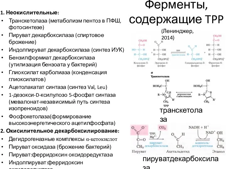 Ферменты, содержащие TPP 1. Неокислительные: Транскетолаза (метаболизм пентоз в ПФШ, фотосинтезе)