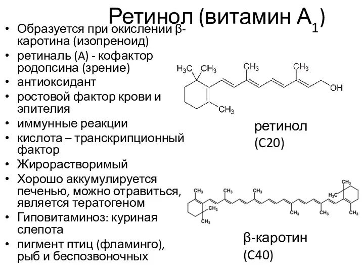 Ретинол (витамин А1) Образуется при окислении β-каротина (изопреноид) ретиналь (A) -