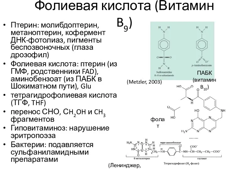 Фолиевая кислота (Витамин B9) Птерин: молибдоптерин, метаноптерин, кофермент ДНК-фотолиаз, пигменты беспозвоночных
