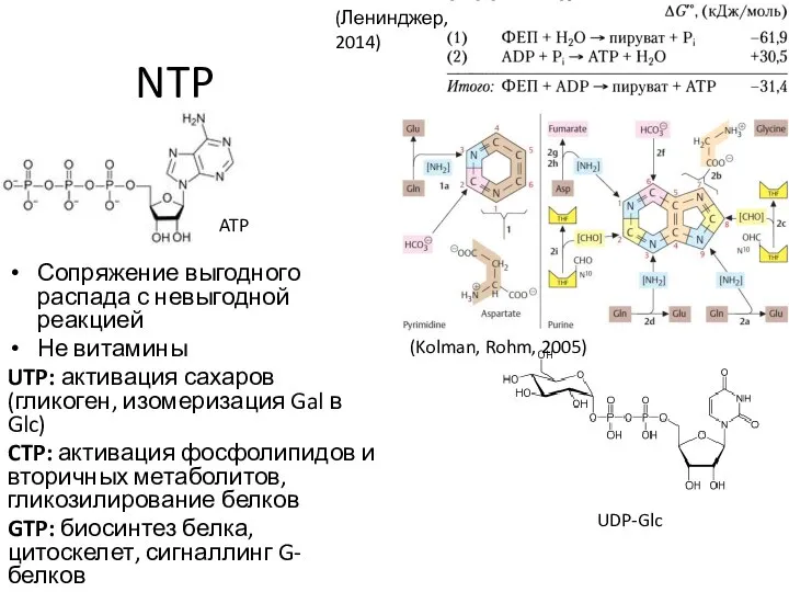 NTP Сопряжение выгодного распада с невыгодной реакцией Не витамины UTP: активация