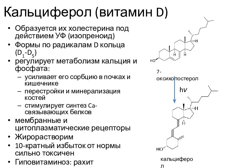 Кальциферол (витамин D) Образуется их холестерина под действием УФ (изопреноид) Формы