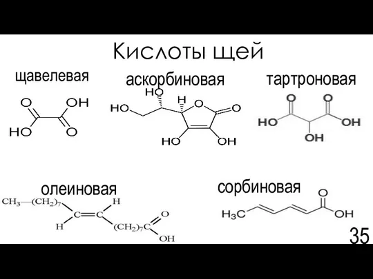 Кислоты щей щавелевая аскорбиновая сорбиновая олеиновая тартроновая