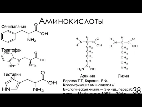 Аминокислоты Фенилаланин Лизин Аргинин Гистидин Триптофан Березов Т.Т., Коровкин Б.Ф. Классификация