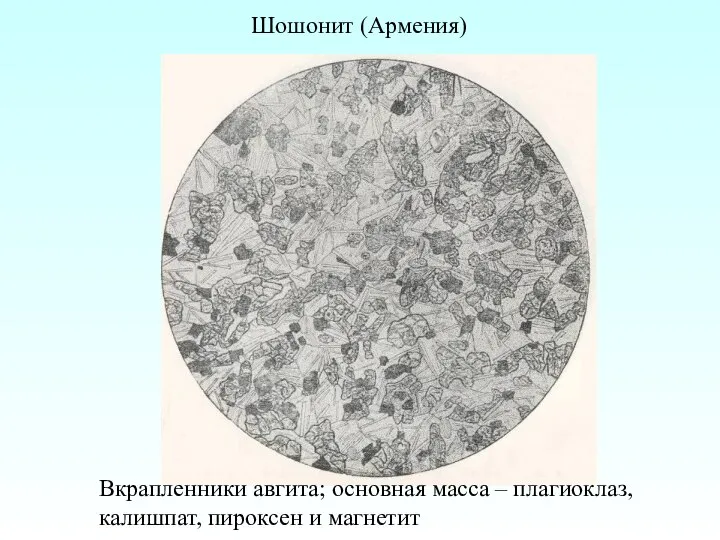 Шошонит (Армения) Вкрапленники авгита; основная масса – плагиоклаз, калишпат, пироксен и магнетит