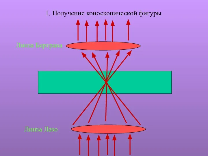 1. Получение коноскопической фигуры Линза Лазо Линза Бертрана