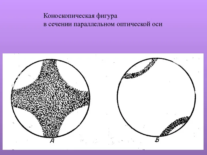 Коноскопическая фигура в сечении параллельном оптической оси
