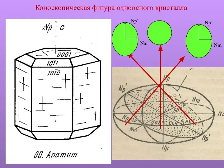 Коноскопическая фигура одноосного кристалла