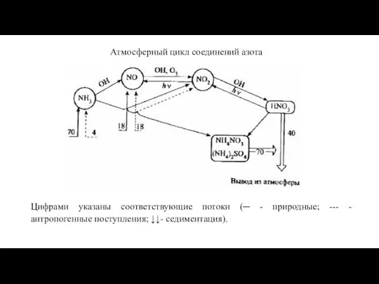 Атмосферный цикл соединений азота Цифрами указаны соответствующие потоки (─ - природные;