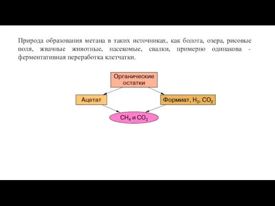 Природа образования метана в таких источниках, как болота, озера, рисовые поля,