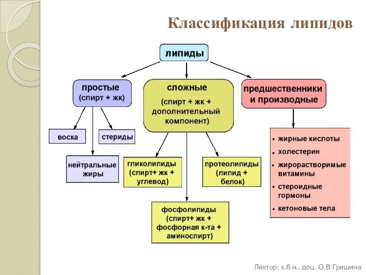 Классификация липидов Лектор: к.б.н., доц. О.В.Гришина