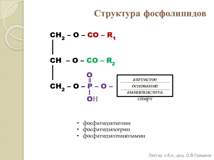 Структура фосфолипидов CH2 – O – CO – R1 CH –