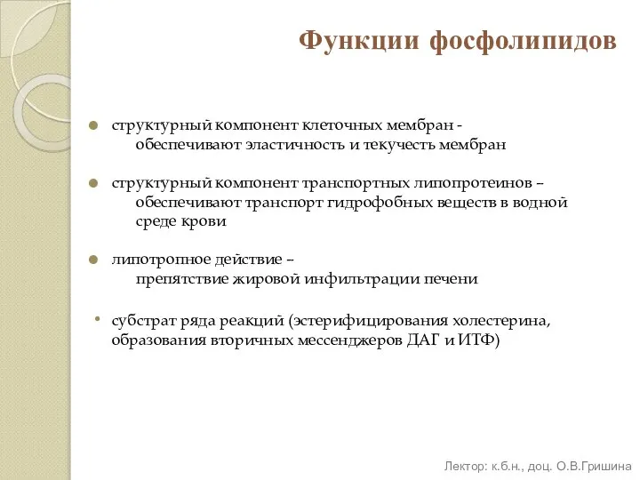 Функции фосфолипидов структурный компонент клеточных мембран - обеспечивают эластичность и текучесть