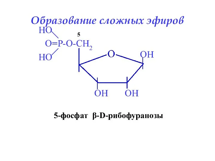 5-фосфат β-D-рибофуранозы 5 Образование сложных эфиров