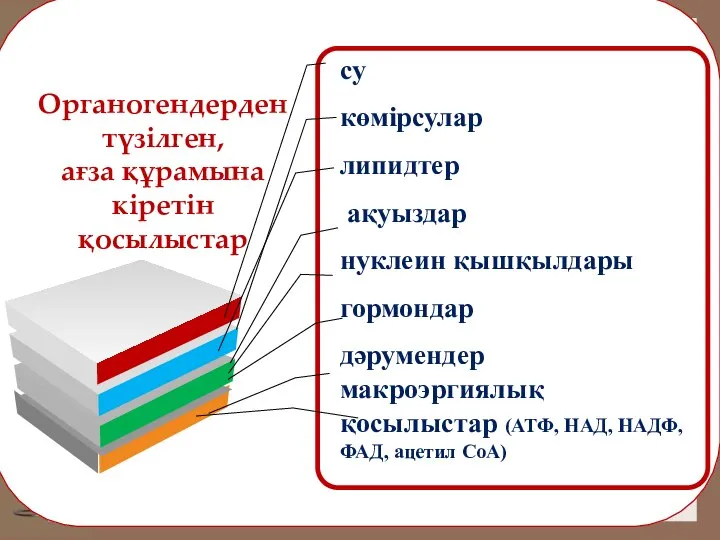 Органогендерден түзілген, ағза құрамына кіретін қосылыстар су көмірсулар липидтер ақуыздар нуклеин