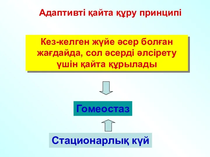 Адаптивті қайта құру принципі Кез-келген жүйе әсер болған жағдайда, сол әсерді