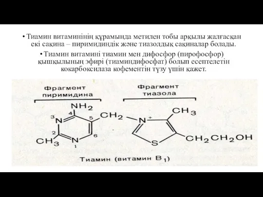 Тиамин витаминінің құрамында метилен тобы арқылы жалғасқан екі сақина – пиримидиндік
