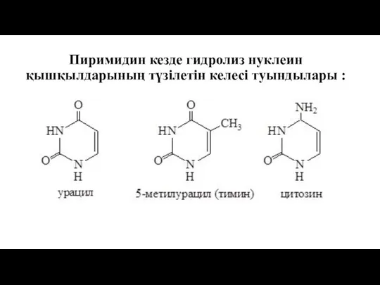 Пиримидин кезде гидролиз нуклеин қышқылдарының түзілетін келесі туындылары :