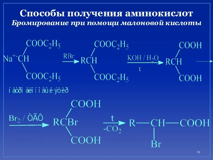 Способы получения аминокислот Бромирование при помощи малоновой кислоты