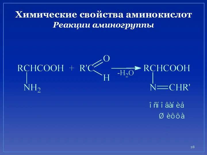 Химические свойства аминокислот Реакции аминогруппы